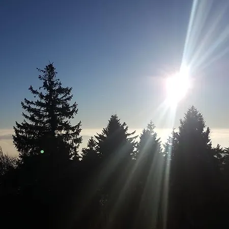 Cafe & Carmen 3* Brotterode