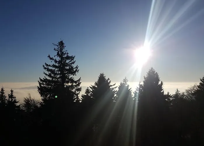 Cafe & Carmen 3* ブロターオーデ